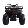 ATV Thunder 150 04