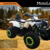 Квадроцикл Motoland 200 Wild Truck 01