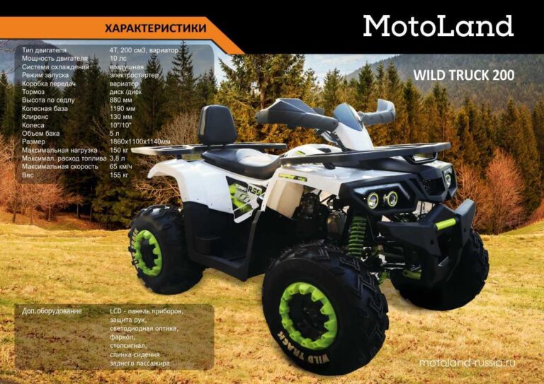 Квадроцикл Motoland 200 Wild Truck 01