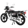 Мотоцикл Regulmoto SK-125 05