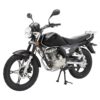 Мотоцикл Regulmoto SK 150-6 04