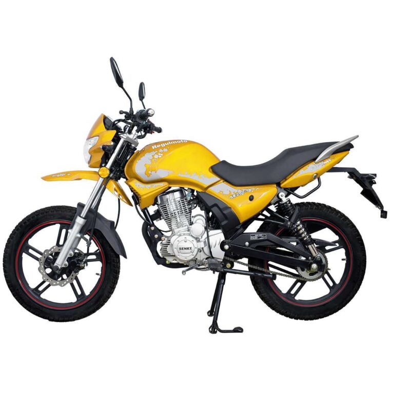 Мотоцикл Regulmoto SK200-9 01