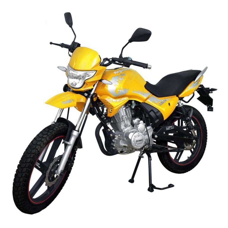Мотоцикл Regulmoto SK200-9 02