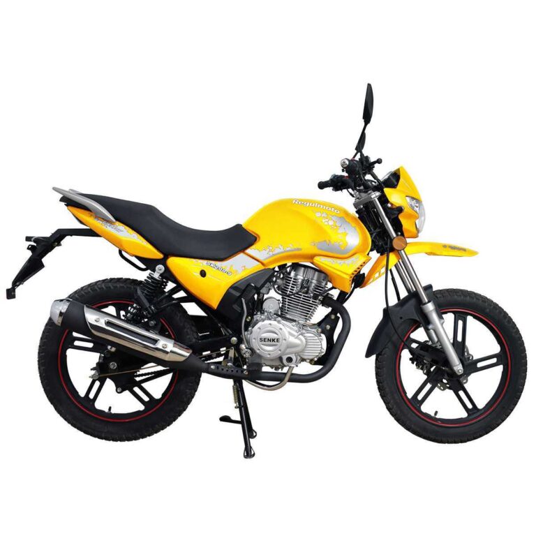 Мотоцикл Regulmoto SK200-9 03