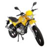 Мотоцикл Regulmoto SK200-9 04