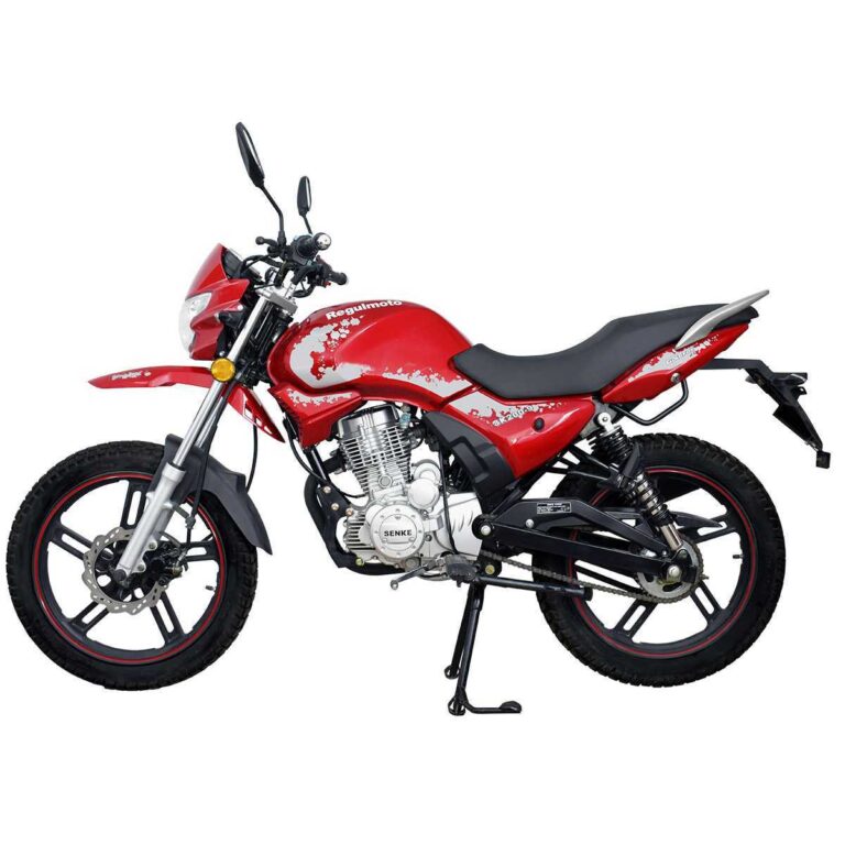 Мотоцикл Regulmoto SK200-9 07